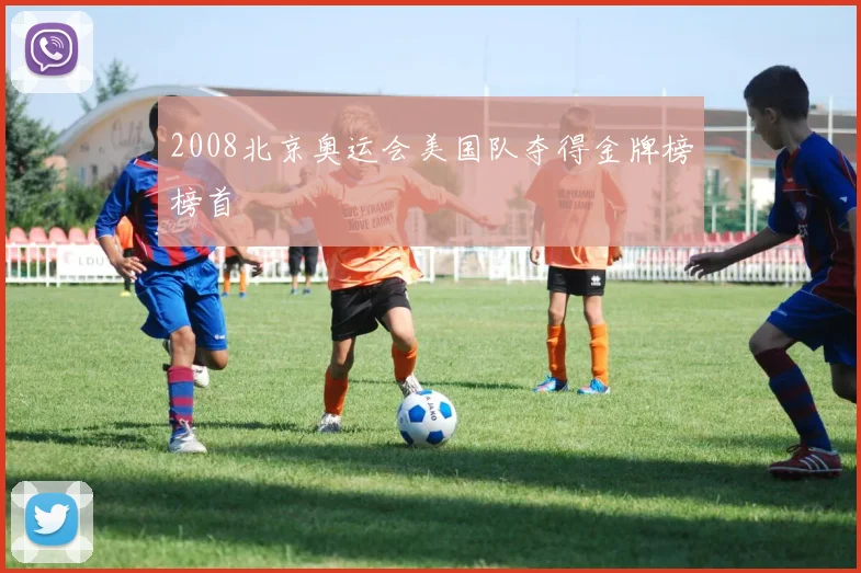 2008北京奥运会美国队夺得金牌榜榜首